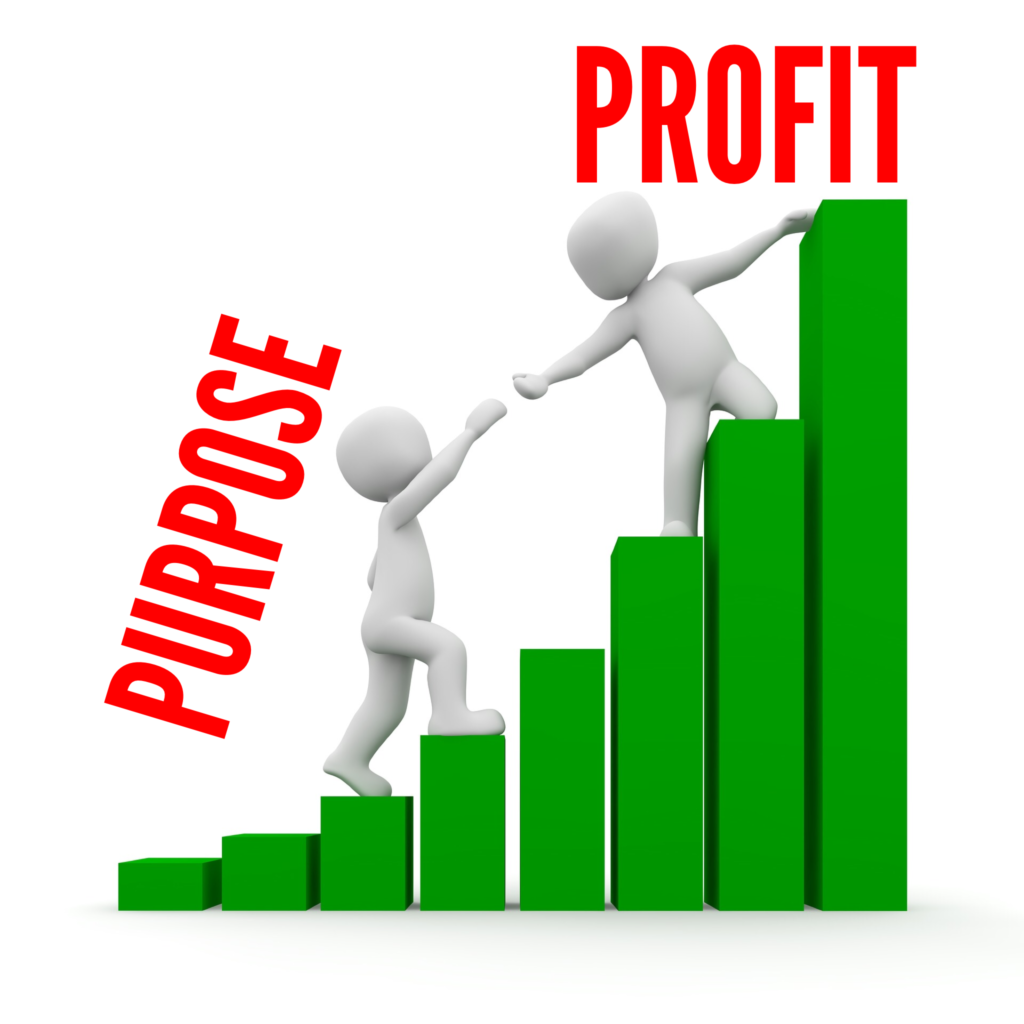 Purpose to Profit